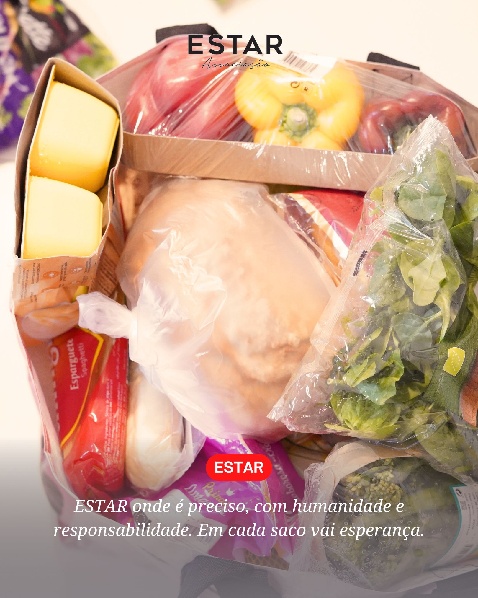 ESTAR: Humanidade e Responsabilidade